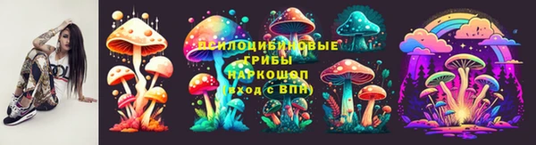 дживик Дмитриев