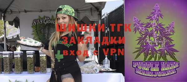 дживик Дмитриев