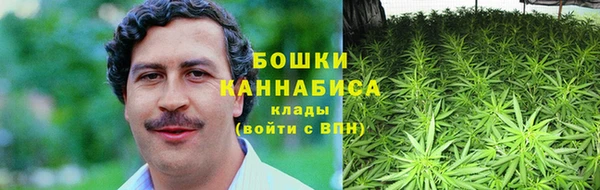 дживик Дмитриев