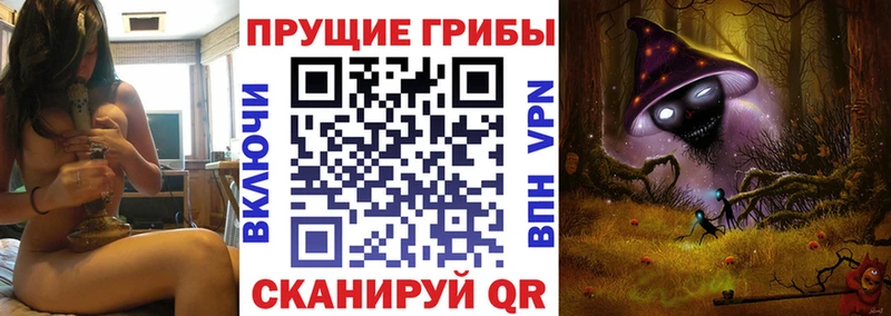 Галлюциногенные грибы Psilocybe  Старица 